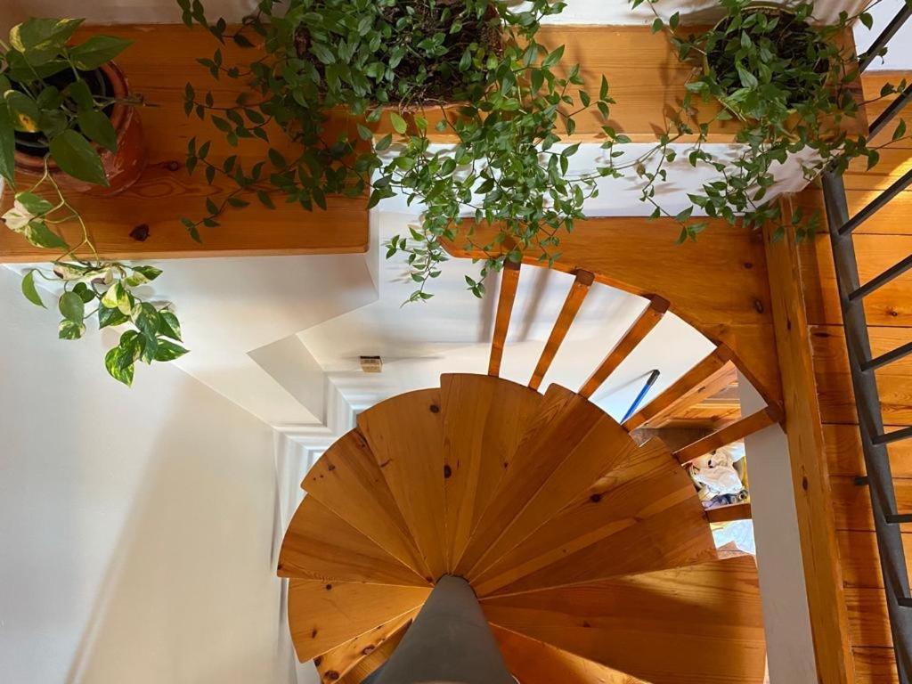 Janpere Ii Apartment *
